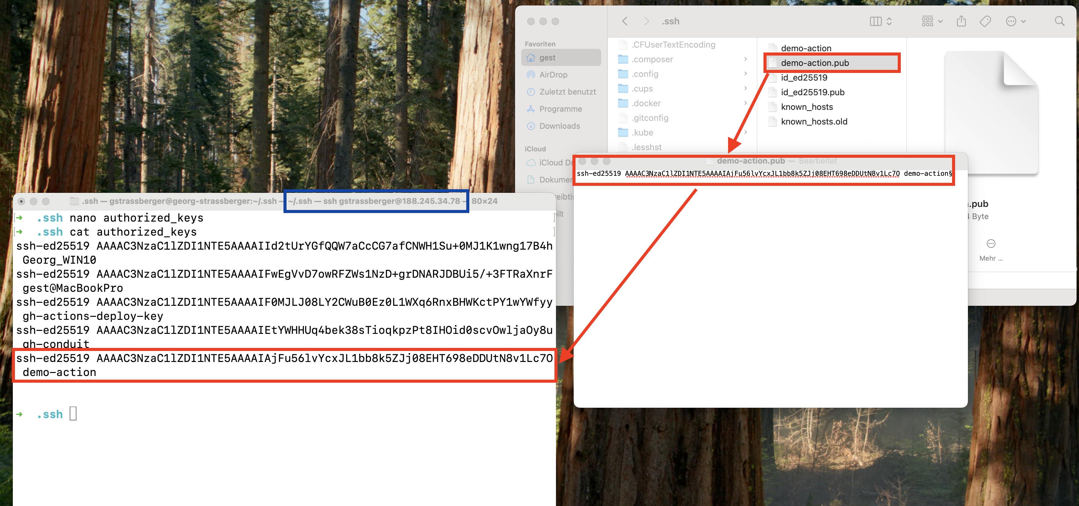 Github Action Success